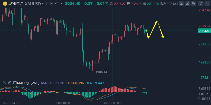江沐洋：2.23国际黄金上涨遇阻高位震荡，原油走势逢低买入