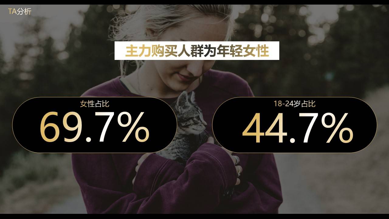 希宝猫粮超级品类日创意营销方案（附下载）