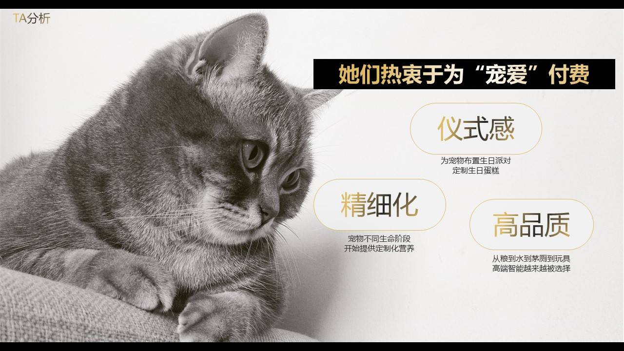 希宝猫粮超级品类日创意营销方案（附下载）