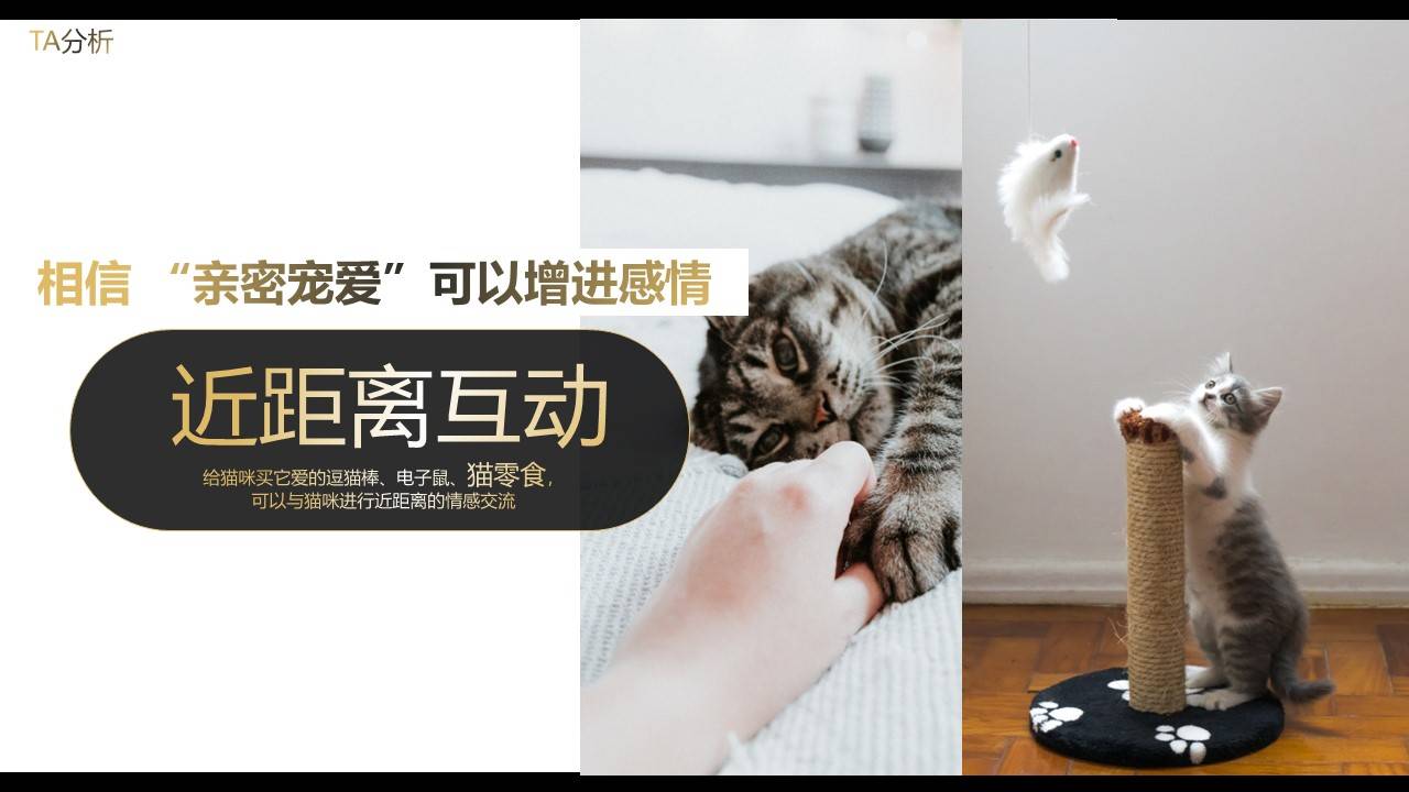 希宝猫粮超级品类日创意营销方案（附下载）