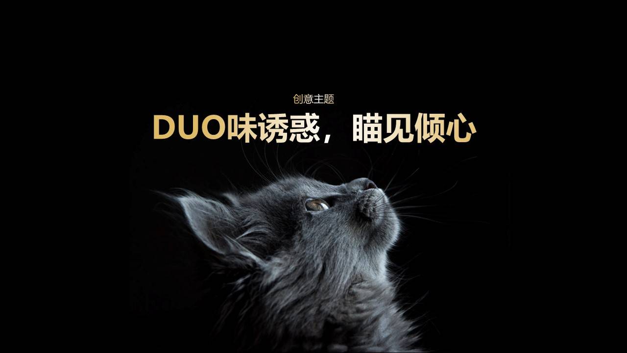 希宝猫粮超级品类日创意营销方案（附下载）