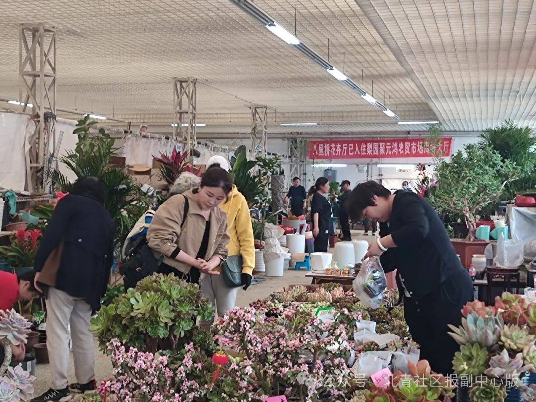启动闭市！实探八里桥市场：商户仍在甩卖，花卉厅将搬至梨园这里……