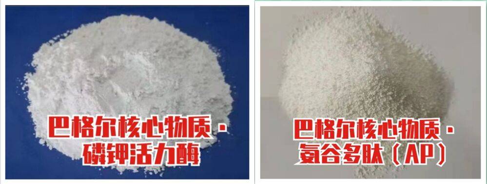 “磷钾活力姆”和“氨谷多肽”助力以色列巴格尔功能肥销量节节高!