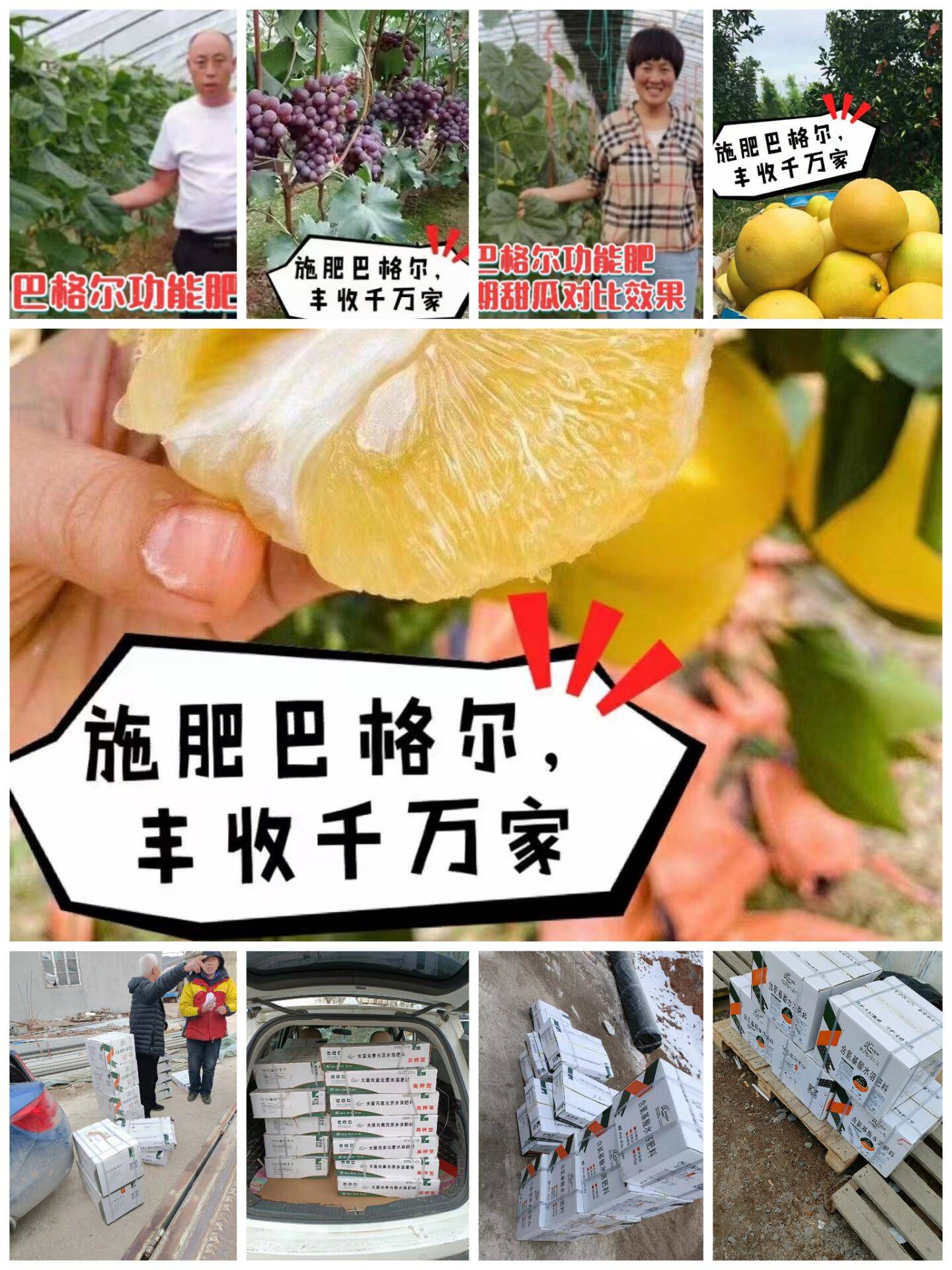 “磷钾活力姆”和“氨谷多肽”助力以色列巴格尔功能肥销量节节高!