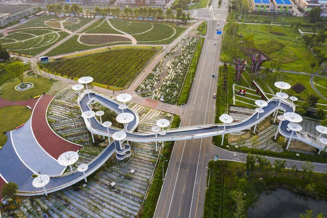 从百里画廊“蔬香集”启程，开启24°C的清凉之旅