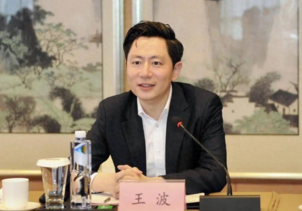 “80后”王波挂职哈尔滨副市长！此前任保利文化董事长